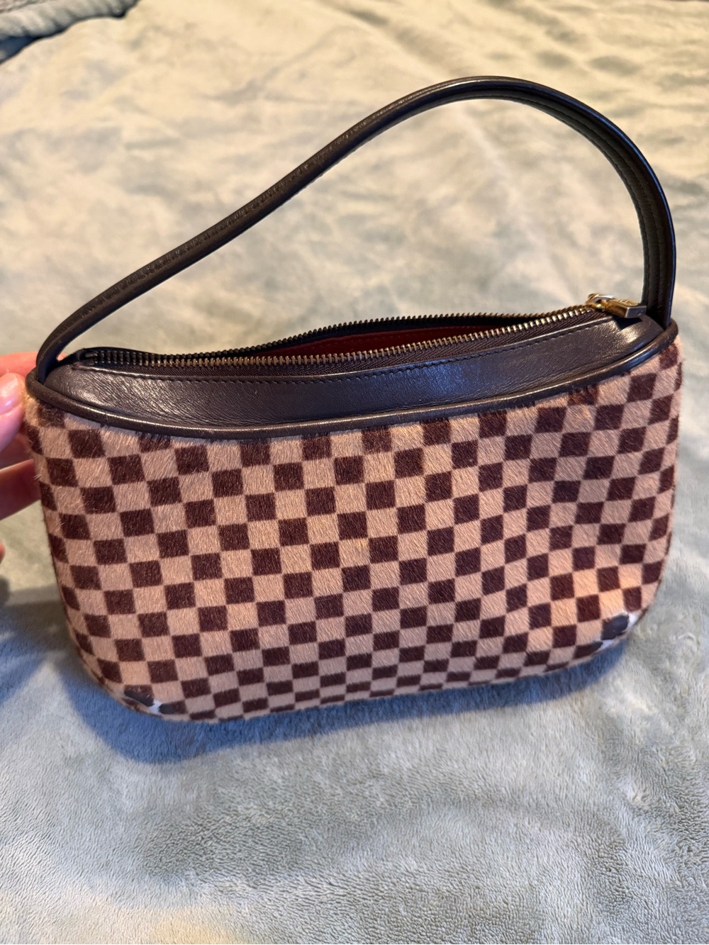 Louis Vuitton Damier Sauvage Hand Bag Pouch